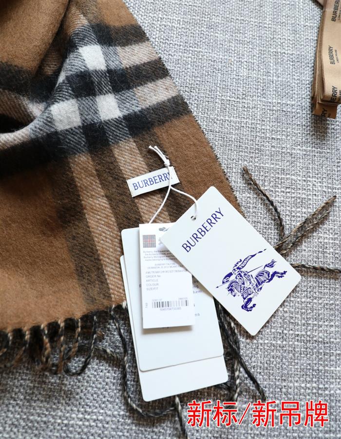 2026116111758631 210